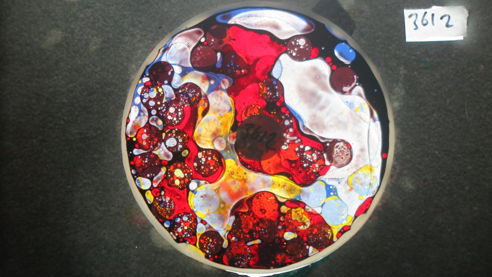 BV3612 bubble vision oil wheel